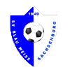 https://img.bst56.com/img/football/team/1cde488d47b598d2eed91775e6786258.png