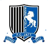 https://img.bst56.com/img/football/team/31ed3d3aec45e4ad8f335c2250856bb4.png