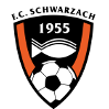 https://img.bst56.com/img/football/team/488370880779534e48b5b2d5243fb6f6.png